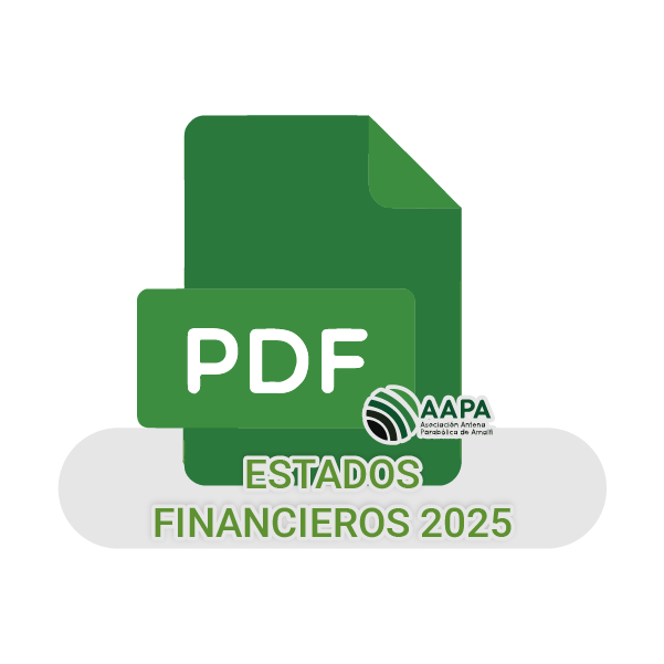 estadosfinanciero2026pdf